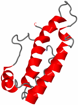 Image NMR Structure - model 1