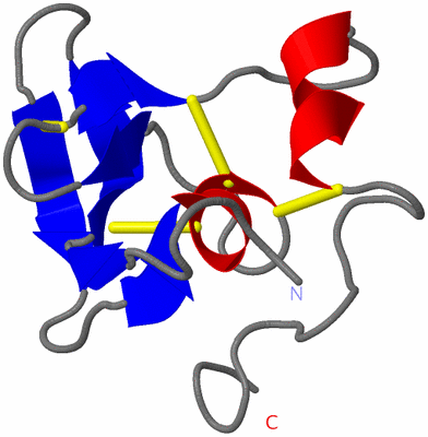 Image NMR Structure - model 1