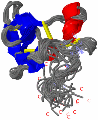 Image NMR Structure - all models