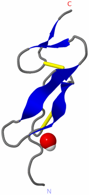 Image NMR Structure - model 1