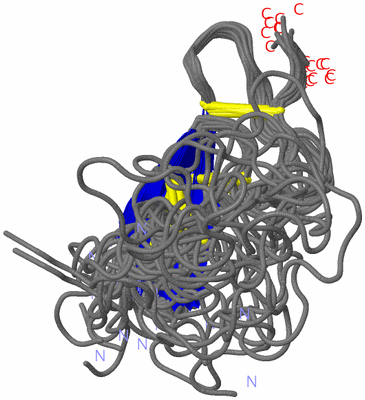 Image NMR Structure - all models