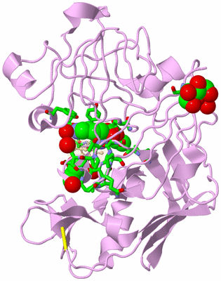 Image Asym./Biol. Unit - sites