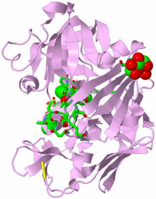 Image Biol. Unit 1 - sites