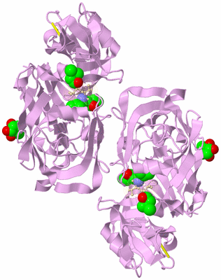 Image Biological Unit 2