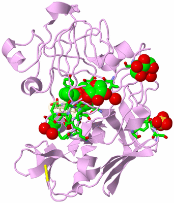 Image Asym./Biol. Unit - sites