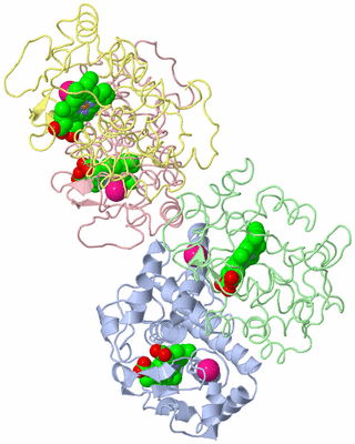 Image Asymmetric Unit