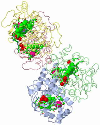 Image Asym. Unit - sites