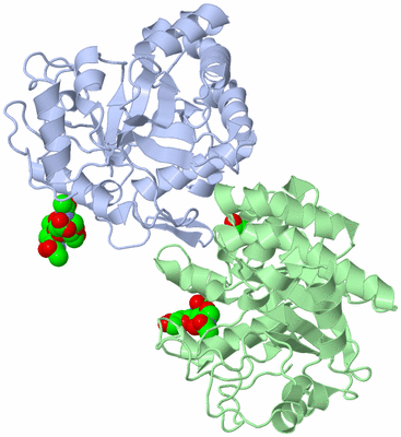 Image Asym./Biol. Unit