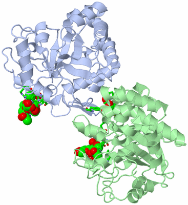 Image Asym./Biol. Unit - sites