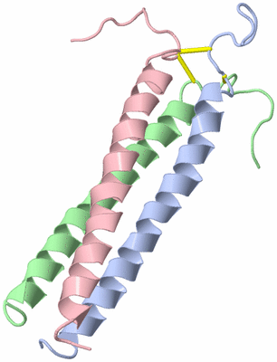 Image NMR Structure - model 1