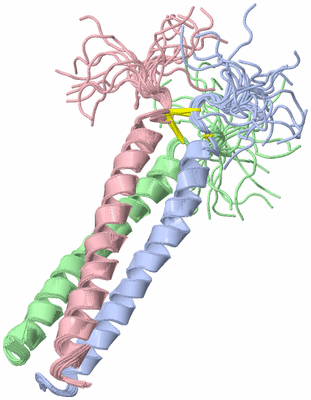 Image NMR Structure - all models