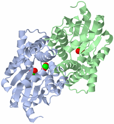 Image Asym./Biol. Unit