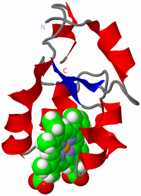 Image NMR Structure - all models
