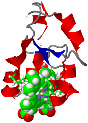 Image NMR Structure - model 1, sites