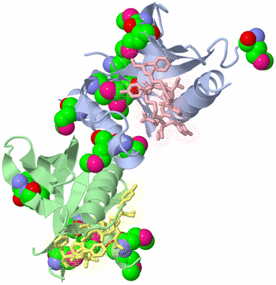 Image Biological Unit 1