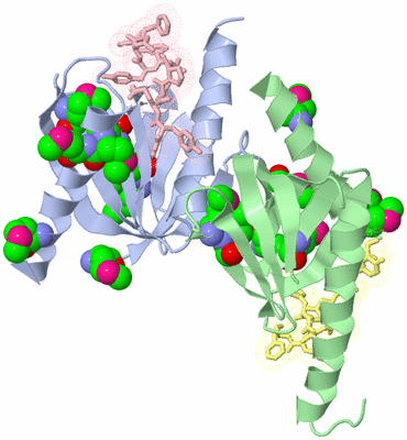 Image Biological Unit 2