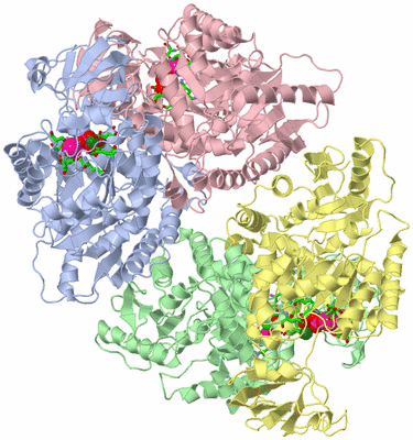 Image Biol. Unit 1 - sites