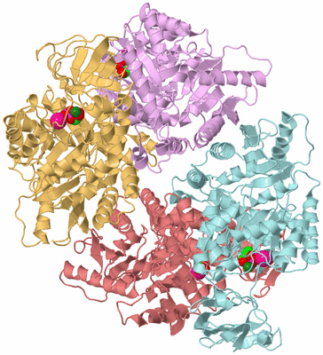 Image Biological Unit 2