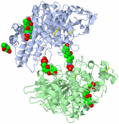 Image Asymmetric Unit