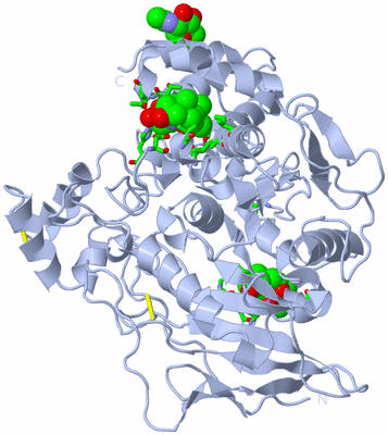 Image Biol. Unit 1 - sites