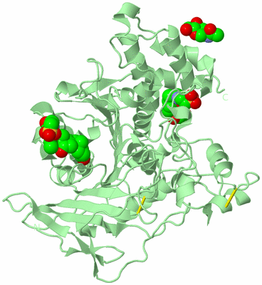 Image Biological Unit 2