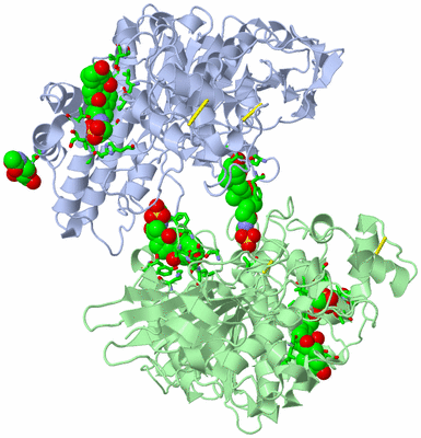 Image Asym. Unit - sites