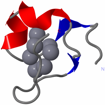 Image NMR Structure - model 1