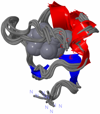 Image NMR Structure - all models