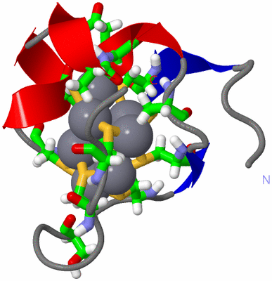 Image NMR Structure - model 1, sites