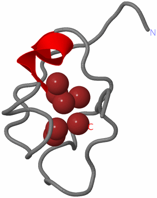 Image NMR Structure - model 1