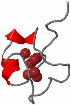 Image NMR Structure - model 1