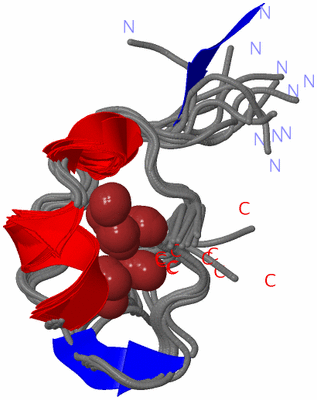 Image NMR Structure - all models