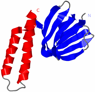 Image Asymmetric Unit