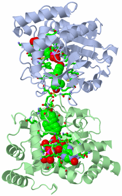 Image Asym./Biol. Unit - sites