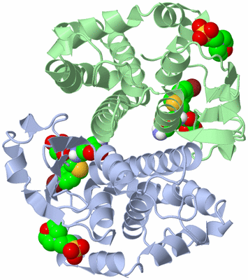 Image Asym./Biol. Unit