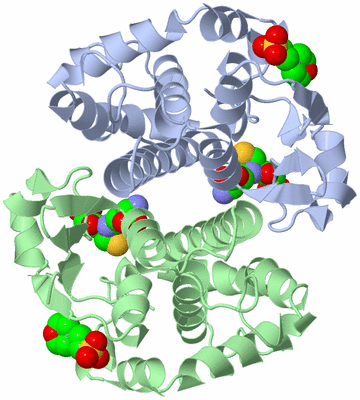 Image Biological Unit 1