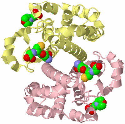 Image Biological Unit 2