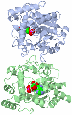 Image Asym./Biol. Unit