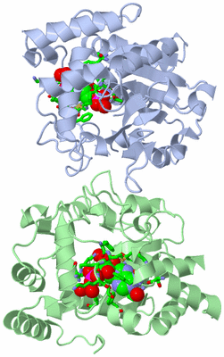 Image Asym./Biol. Unit - sites