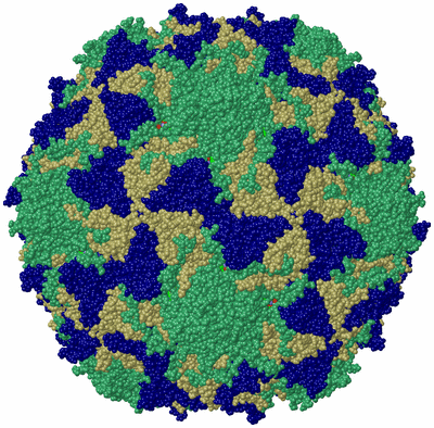 Image Biol. Unit 1 - sites