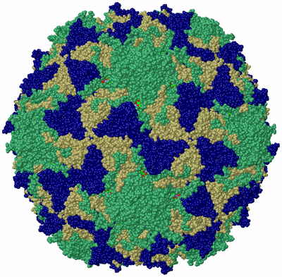 Image Biol. Unit 1 - sites