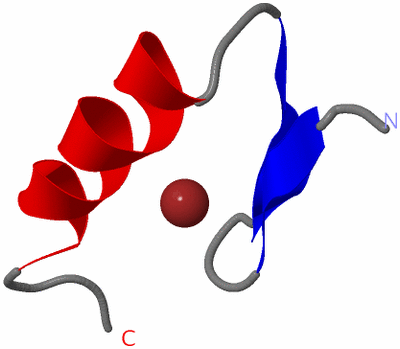 Image NMR Structure - model 1