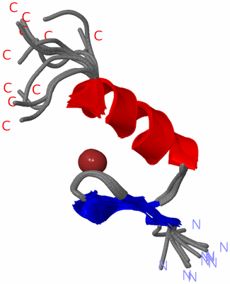 Image NMR Structure - all models