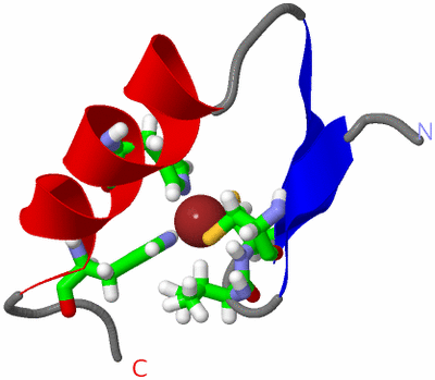 Image NMR Structure - model 1, sites