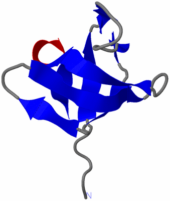 Image NMR Structure - model 1
