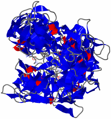 Image NMR Structure - all models