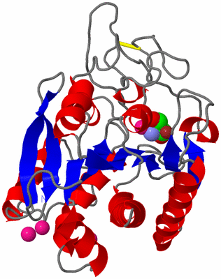 Image Asym./Biol. Unit