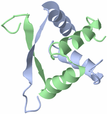 Image NMR Structure - model 1