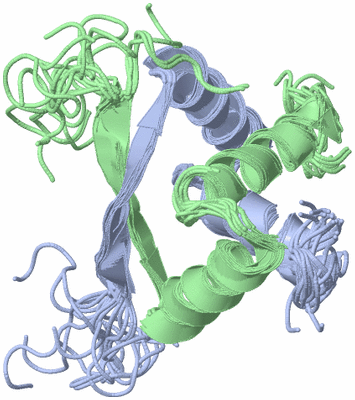 Image NMR Structure - all models