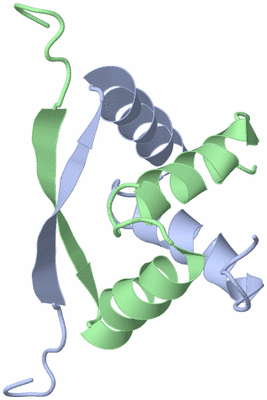 Image NMR Structure - model 1